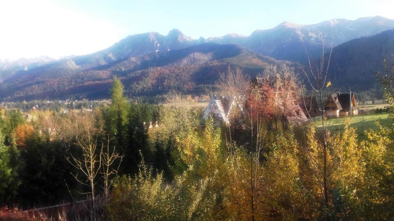Pokoje Goscinne Koscielisko Az Somatic Esterno foto